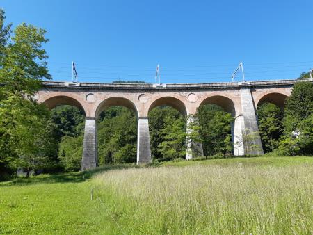 Jelenov most-bližnji profil